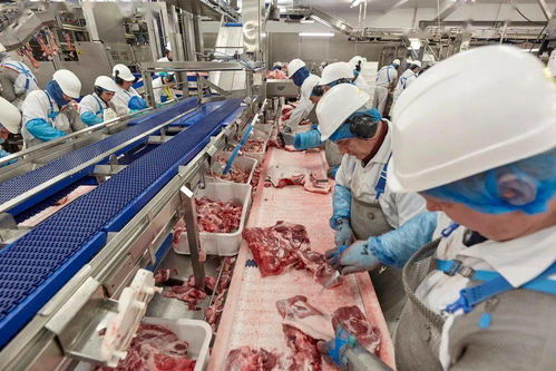 餐桌危機 全球食品廠疫情爆發 北京風險再升級, 百事 停產停業