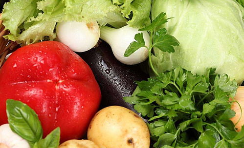 老年人骨折吃什么好呢