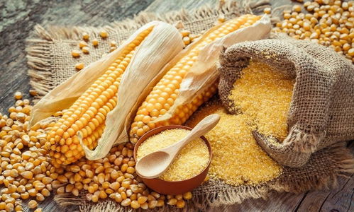 為什么你一到冬天就容易便秘