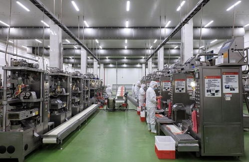 節前簽下6000萬大訂單 新津這家企業國慶 不打烊 ,趕制訂單生產忙