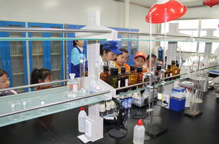 鄭報融媒小學士走進經開區食品生產企業 零距離感受露露透明工廠