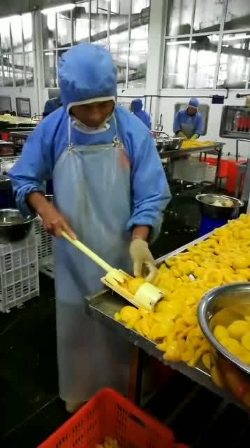 自從來到加工食品廠,再也不買這些東西吃了,看完黃桃罐頭你還想吃嗎