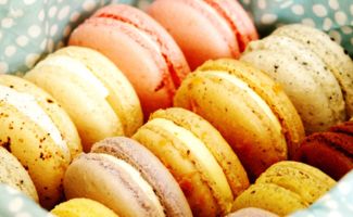 十二五 期間我國進口食品微生物污染突出