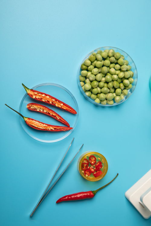 辣椒豌豆食品安全農(nóng)業(yè)科技食品培育攝影圖 插畫 下載至來源處