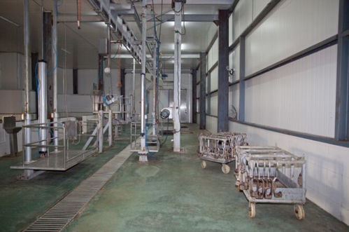 你以為的不一定是你以為的食品廠蒸汽流量計