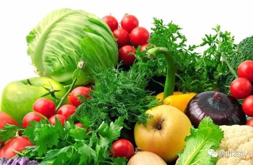 唐山人有福啦 只需1小時,肉蛋菜奶新鮮到達