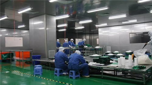 食品工廠自動化的設計