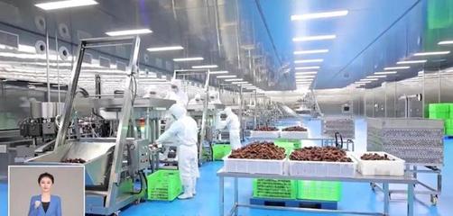 太牛了!儀征這家公司30多種休閑食品暢銷全國.