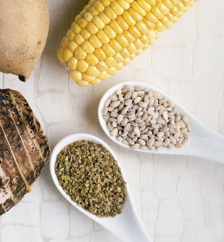 減肥食品 12種不起眼減肥食品