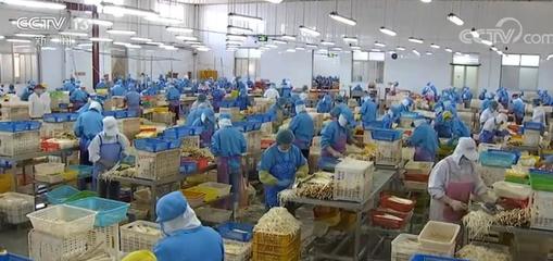 拓市場穩訂單 我國蔬菜出口逐步回暖