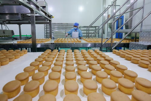 河北定興全力推動食品產業轉型升級