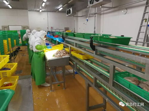 太平恩利食品加工廠 管吃住 男女 月薪 上萬