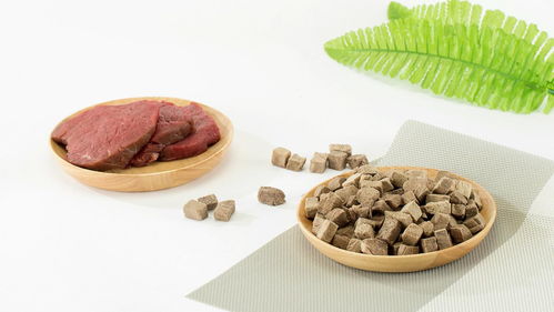 糧言寵物零食 不用挑 的放心寵物食品