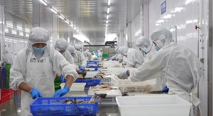 曹縣:開足馬力忙生產(chǎn)