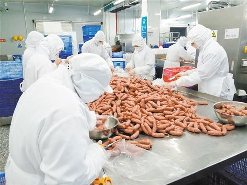 龍口鎮(zhèn)企業(yè)跑出復(fù)工達(dá)產(chǎn) 加速度