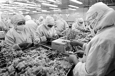 河北石家莊惠康食品取得偶蹄動(dòng)物肉類熱加工處理許可(圖)-滾動(dòng)