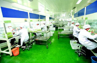 吉林省政協推進農產品深加工產業健康發展