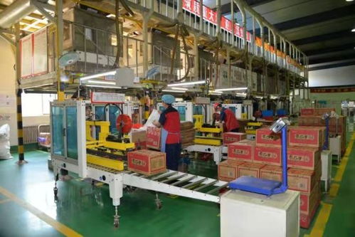 齊齊哈爾市甘南縣 依托 3 3 產業格局 不斷壯大產業集群