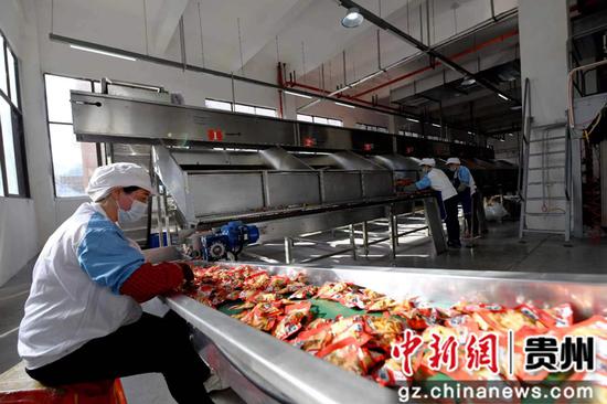 貴州道真 綠色食品加工業按下 加速鍵