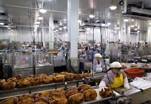 2019臺北國際食品加工設備暨生技 制藥機械展