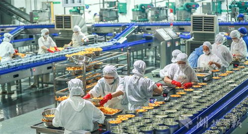 黃桃加工出口助增收