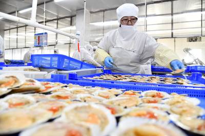 總產(chǎn)值首破萬(wàn)億元!透視山東農(nóng)業(yè)發(fā)展信號(hào)