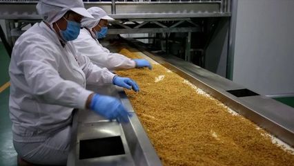 【助力企業(yè)攀登 加快產(chǎn)業(yè)集群培育】山東軒逸食品:凝心聚力促發(fā)展 助力企業(yè)勇攀登