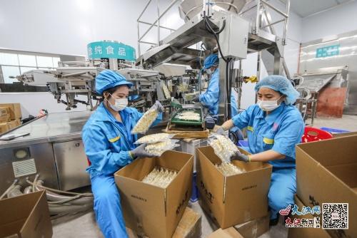 凍鮮蓮生產忙 圖