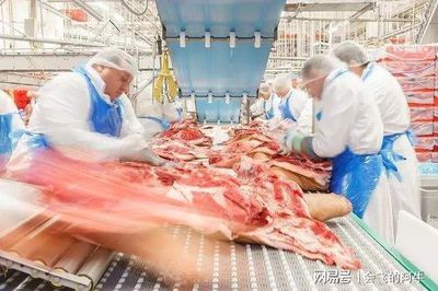 歐美肉類工廠暴發疫情!為什么總是肉類加工廠?