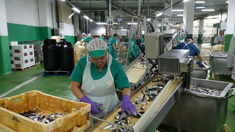 走出去 收購西班牙百年企業(yè) 引進來 高蛋白海產品回國