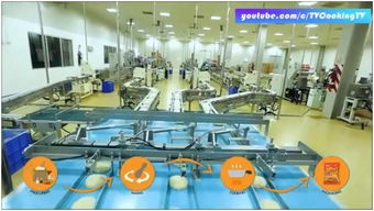 食品安全 實拍各類賞心悅目的食品加工場景