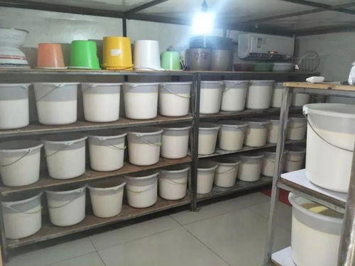 厲害了 這個旗縣的奶食品即將登上央視