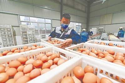 泉港:生產"加馬力"供應"不斷檔"