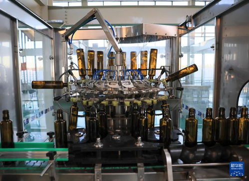 黑龍江樺南 多措并舉助推紫蘇產業高質量發展