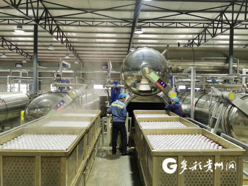 大方 延伸產業鏈,農產品加工有特色