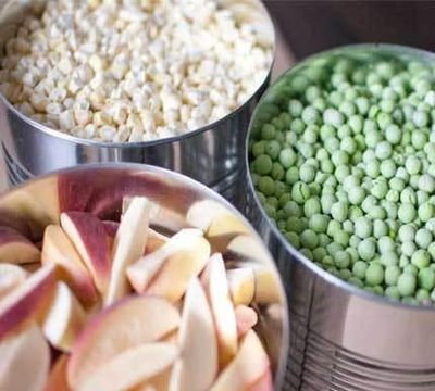 食品凍干機在蔬菜農產品深加工凍干應用