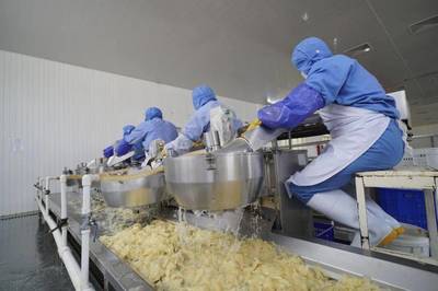 生姜之鄉落戶于此,日本壽司店長為啥只選這里出產的姜?萊蕪姜,特別之處在哪里?