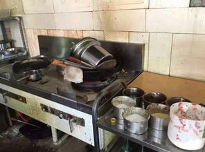 長春凈月 黑 食品加工點洗碗池旁是便池 送餐箱里蟑螂爬