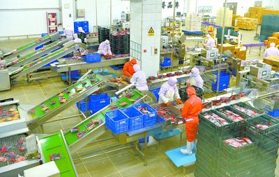 凝心聚力打造 一流現代食品企業