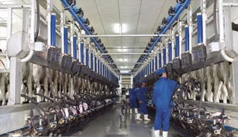 如何徹底清洗消毒食品加工設備及管道