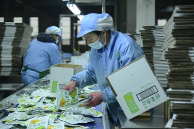 廣元食品飲料加工企業,工人正在包裝榨菜。利州區委宣傳部 供圖