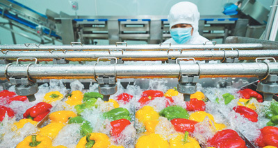 做大做強農產品加工業（新時代畫卷）