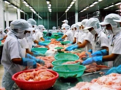 越南巴沙魚(yú)對(duì)華出口急劇下滑，食品加工產(chǎn)業(yè)面臨挑戰(zhàn)