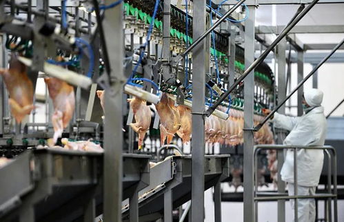 萬華攜手泰森食品，以專業科技打造肉類食品加工新標桿