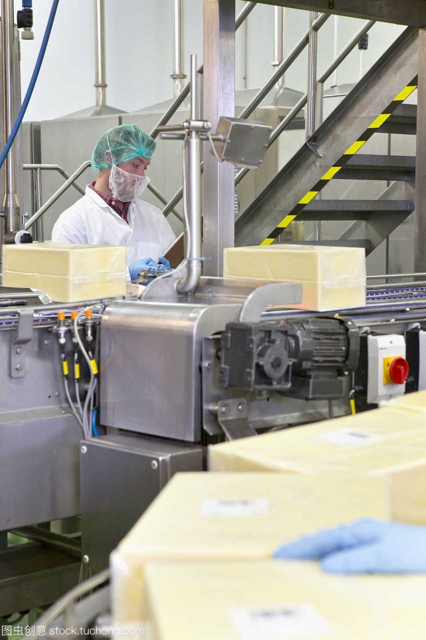 生產線背后的奶酪加工廠 機械化與食品安全的現代融合