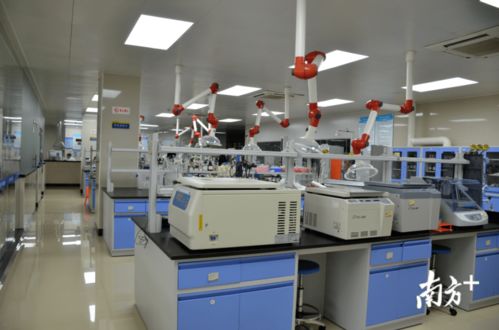 從休閑零食到全產業鏈 潮州食品企業的轉型之路