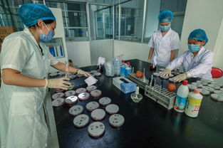 市衛生健康局開展食品安全宣傳周實驗室開放日活動 聚焦食品加工安全