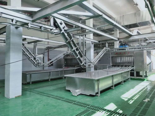 A級畜禽屠宰加工廠即將投產，優質產品輻射全國市場