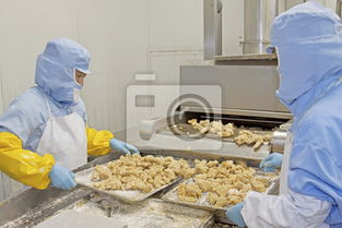 食品加工生產線 現代食品工業的核心