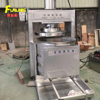 食品加工液壓式果蔬榨汁機 雙桶壓榨帶來的高效藍莓榨汁解決方案